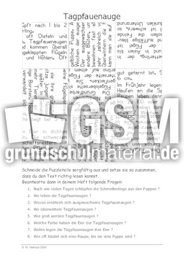 Tagpfauenauge.pdf